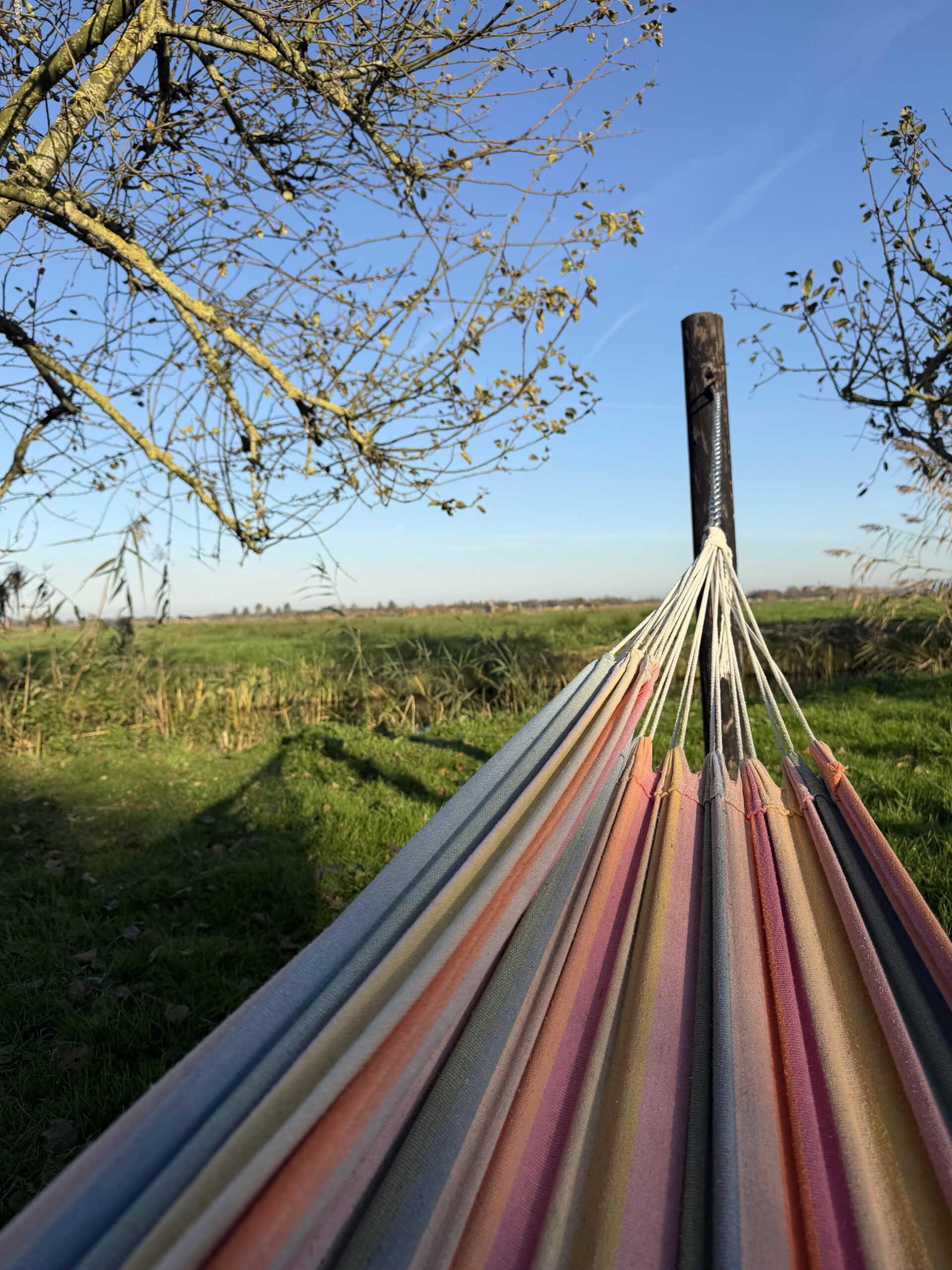Ontspannen in de hangmat